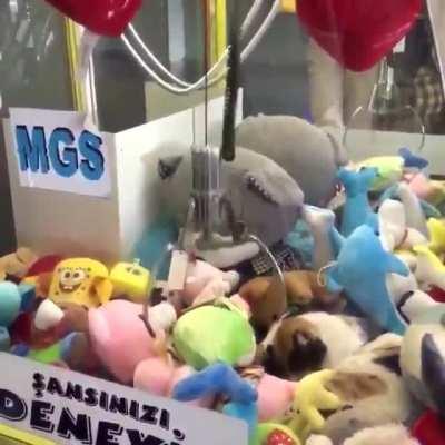 This cat inside a crane machine (@ozgegulecc1)