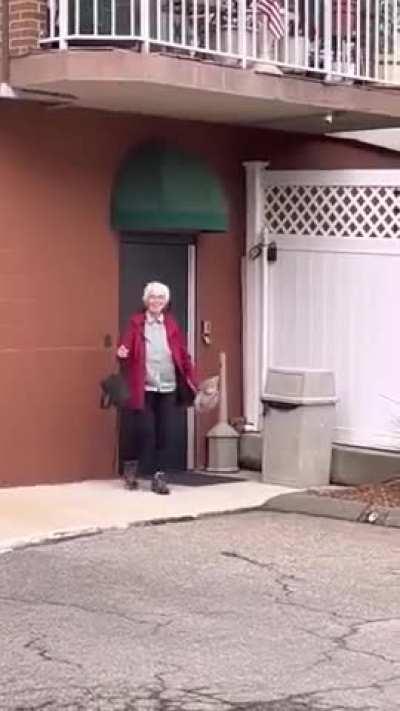 Great Dane Finds His New Grandma