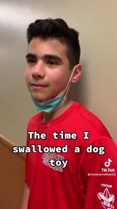 He swallowed a dog toy