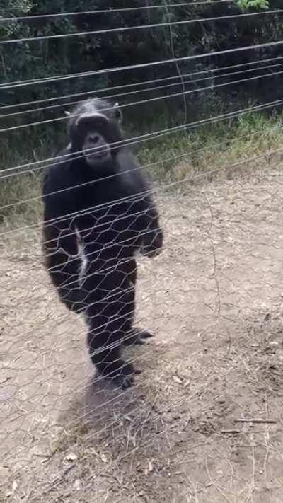 Building site manager annoyed about how bad the fence has been installed