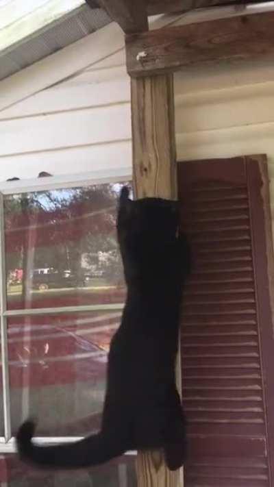 HMC while I parkour off this roof!