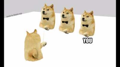 I remade Glee Club but with Doge for some reason