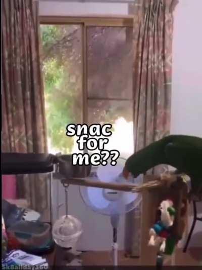 snac attack