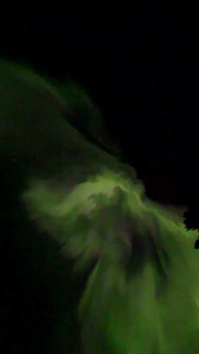 Aurora directly overhead real time