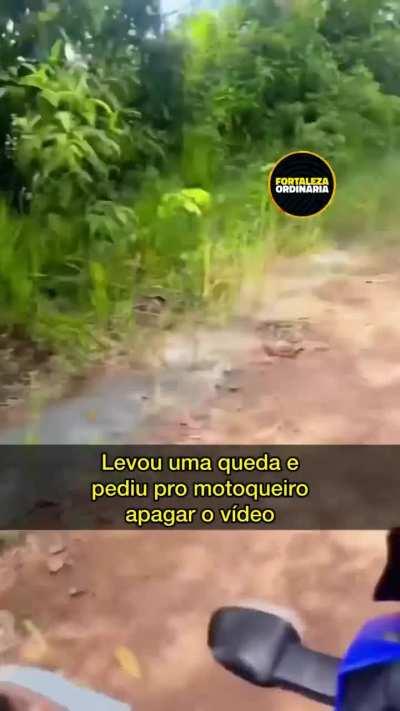 Aqui no Ceará é muito diferente. Revolução dos animais, cai e pede pra apagar o vídeo 😂