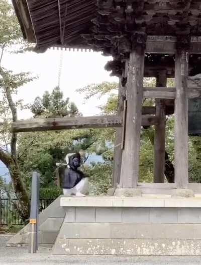 How To Strike A Bell In A Japanese Temple