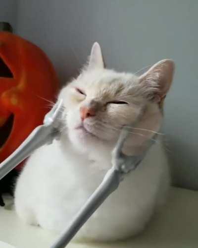 Calcium scritches 🎃🎃🎃🎃