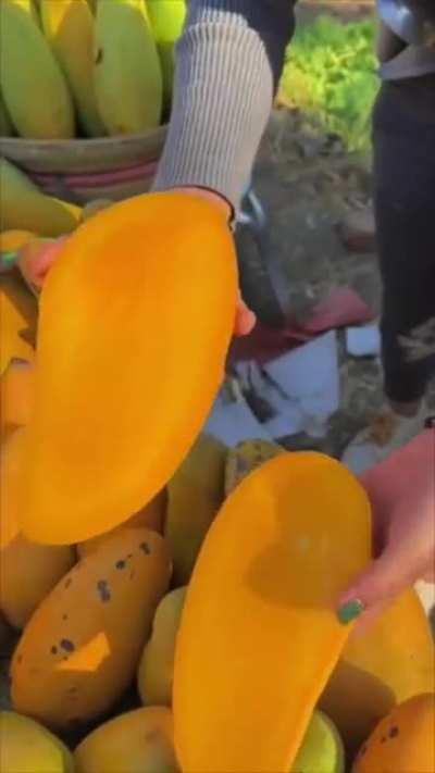 Almost Seedless Mango