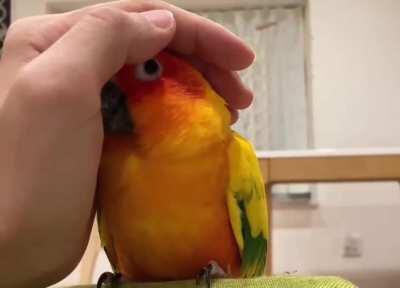 The magical moment he realizes the hand belongs to friend not foe