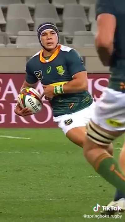 Cheslin Kolbe Sending The Lions To The Shadow Realm