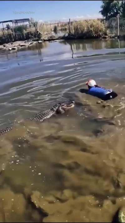 Woman wrestles crocodile out of pool while nearby crocodile does not react