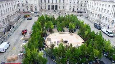 Timelapse showing the Forest for Change installation at Somerset House