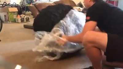 Unwrapping this Beanbag Chair