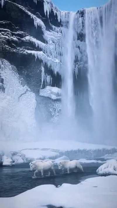 🔥 Majestic Skógafoss, Iceland