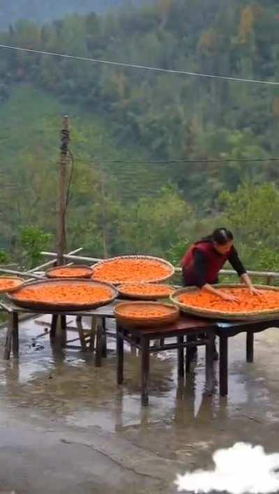 Tangerine peel tea.