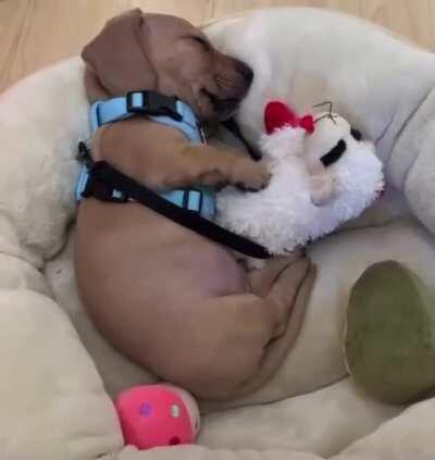 When you’re having a good dream and your best friend is there too.