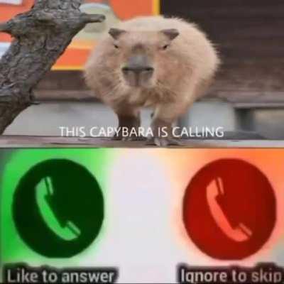 Do you answer?