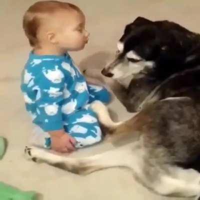 Toddler nods off using doggo as a pillow.