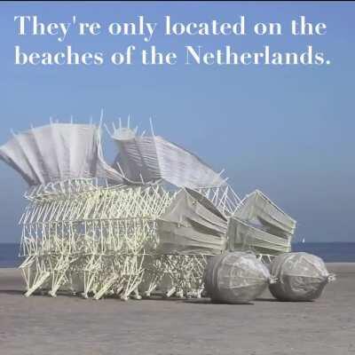 These wind-propelled animal-like structures built from pipes & zip ties, cruising the beaches of the Netherlands