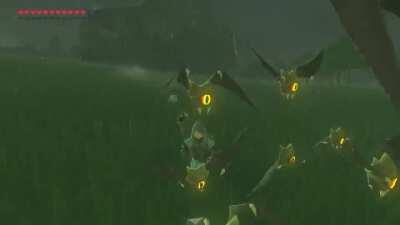 [BotW] Guys I killed a keese wave