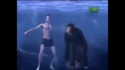 In water, chimps will drown