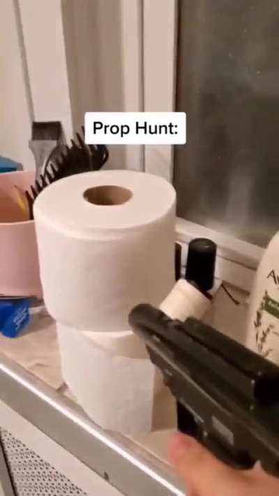 prop hunt