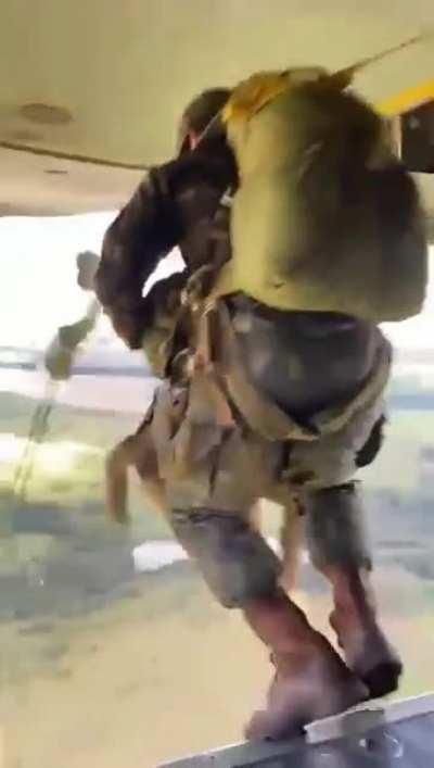 Military trained dog jumping out of plane.