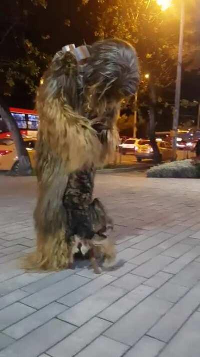 yay, a wookie like me!