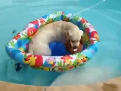 Sometimes you just want to take your teddy bear into the pool and drift away from all your troubles.