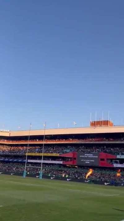 At Loftus against the Aussies yesterday.