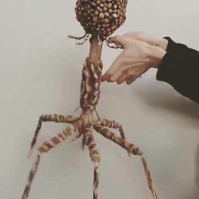 A bacteriophage puppet by Judith Hope