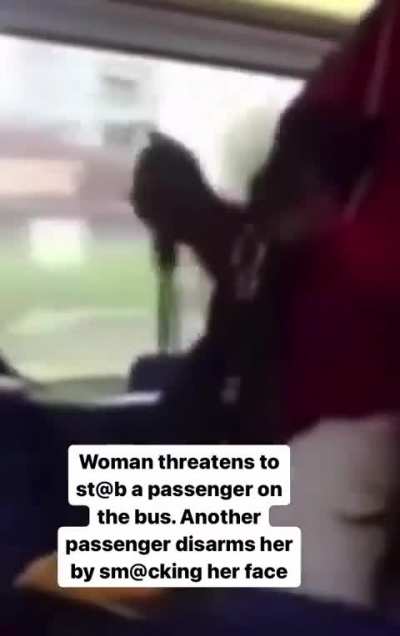 Woman threatens to stab a passenger , Another passenger disarmed her with a certified bitch slap.