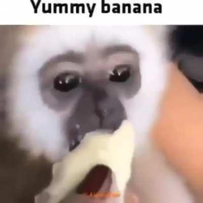 Mmmmmmm yummy banana 😋😋😋😋😋😋😋😋😋😋