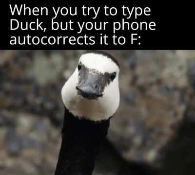 Autocorrect won't stop ducking with me