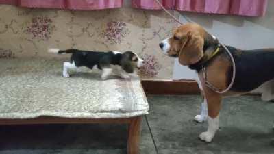 Deep conversation between father &amp;amp; daughter