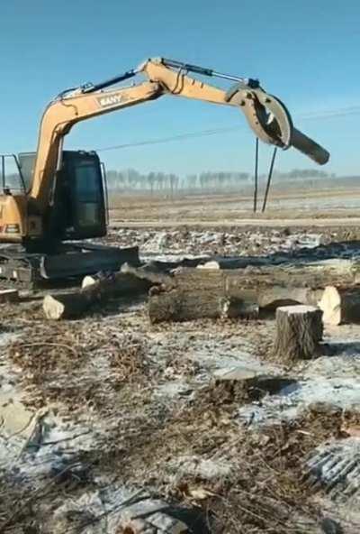 Excavator operator tossing and catching part of a tree in midair.