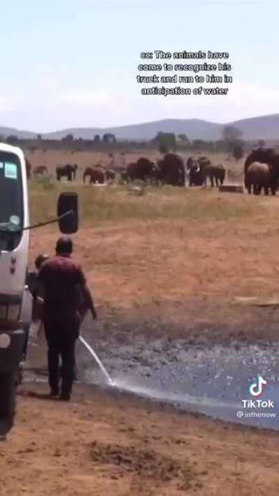 Man drives hundred of miles to deliver fresh water to wild animals everyday.