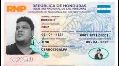 Las nuevas ID's de todos: