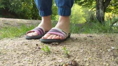 I crushed a pile of snails with flipflops and my barefeet! 😍