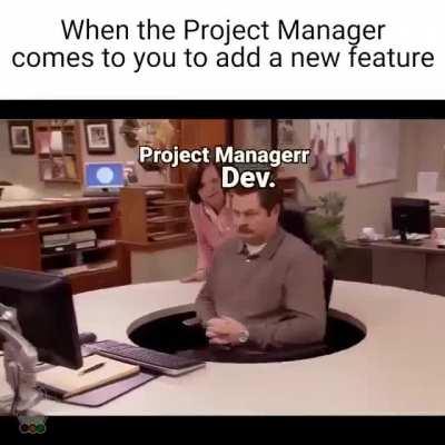 Project Manager vs Developer