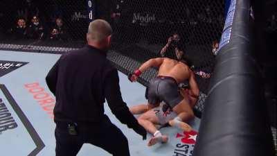 Henry Cejudo smashes Dominick Cruz with a knee to the head