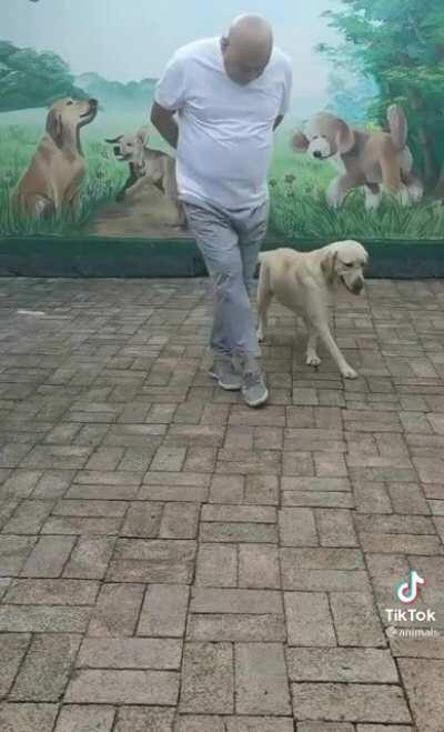 Proud Dog Dance Instructor