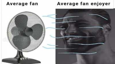 Average Fan Enjoyer
