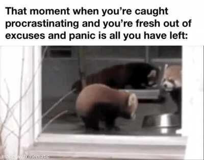 Panic Mode