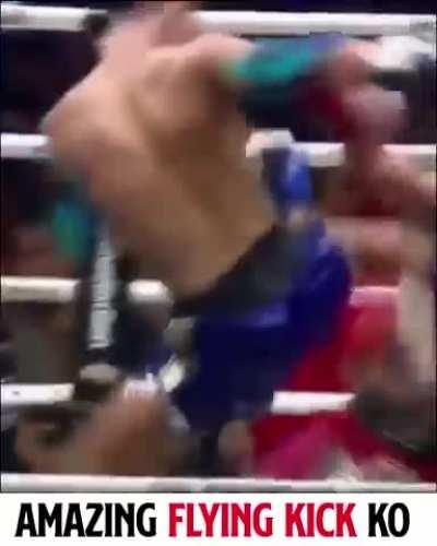 Amazing flying kick KO