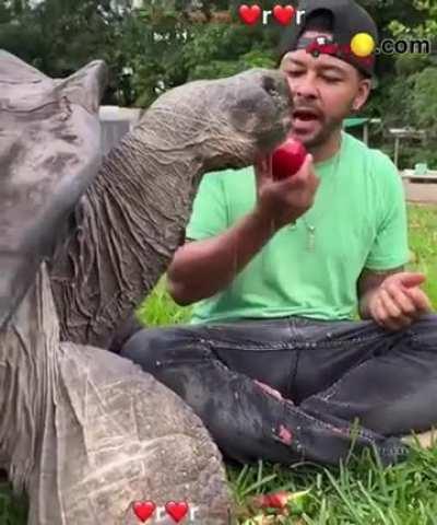 weiRD doG ATTAcKs InOCent MAN and stEALs HIs fRuiTs