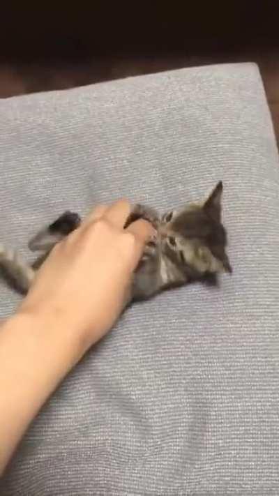 Tickle Monster attacks innocent kitten