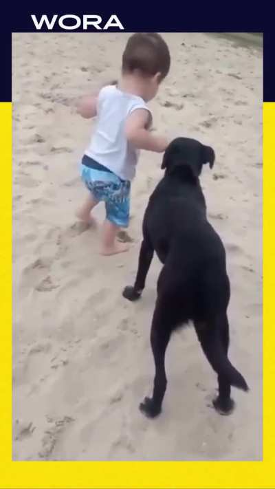 PetsareAmazing