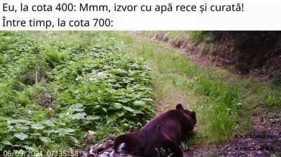 Filtrată