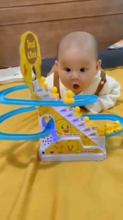 This baby mesmerised by duck climbing toy